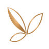 Petals Design